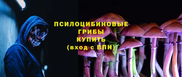 мдма Бердск