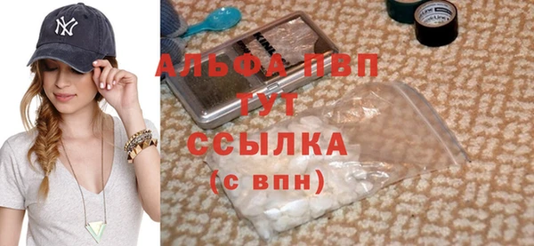 стаф Абинск