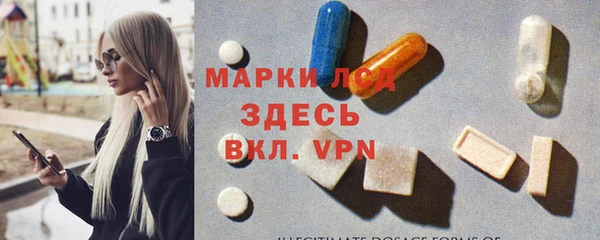 стаф Абинск