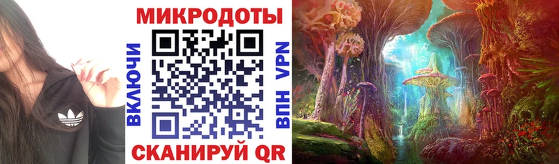 площадка как зайти  Абдулино  Псилоцибиновые грибы Psilocybe  купить  
